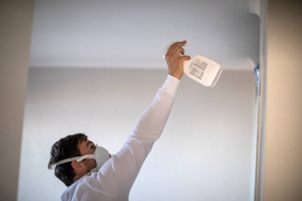 Best Commercial Mold Remediation in Middleburg, FL